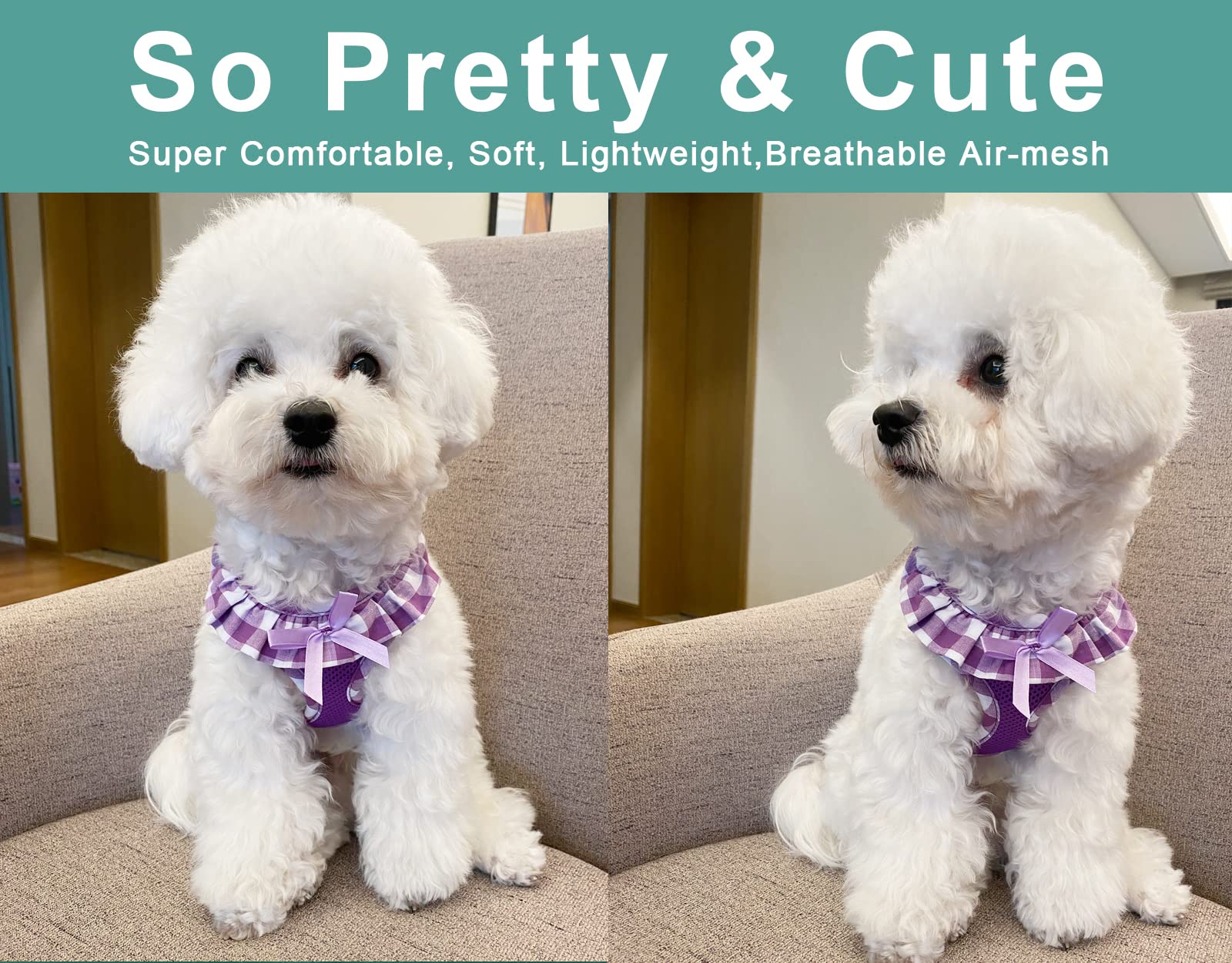 SuperBuddy Upgraded Soft Mesh Dog Harness, Super Breathable Lightweight Pet Harnesses for Puppy Dogs Outdoor Walking, Purple -XS